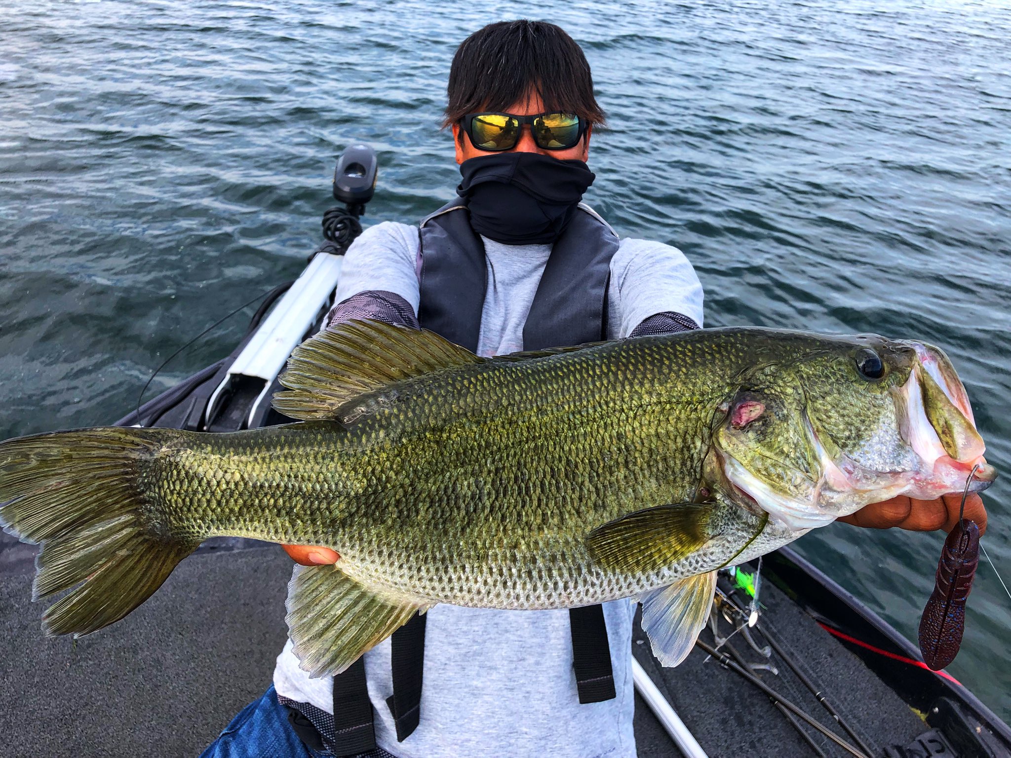 deps JIGEN 偏光サングラス ペインテンス 次元 タレックス TALEX  