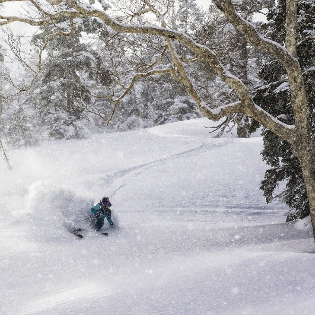 SkiMojoAus's tweet photo. Great story on Kagura
https://t.co/pGruvEj95d
#ski #skiing #skilonger #skimojo #skimojoasia #exoskeleton #skiingpowder #skiingisfun #acl #kneebrace #skiWTF #perisher #thredbo #fallscreek #mthotham #mtbuller #skiingtrip #skiingpowder #skiingisthebest #skijapan #kaguraskiresort https://t.co/yh5XdxUNG2
