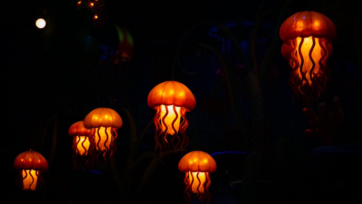 #SetorFotoMalam Disney Sea Japan Sony A6000