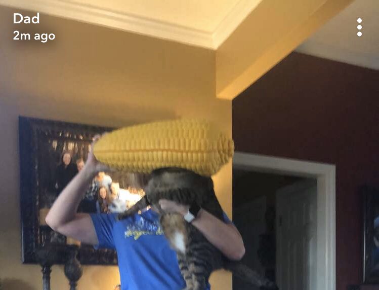 aspen_k's tweet photo. You really just never know what’s going to be sent into the Brinley family snapchat https://t.co/qWE5yal6Oy