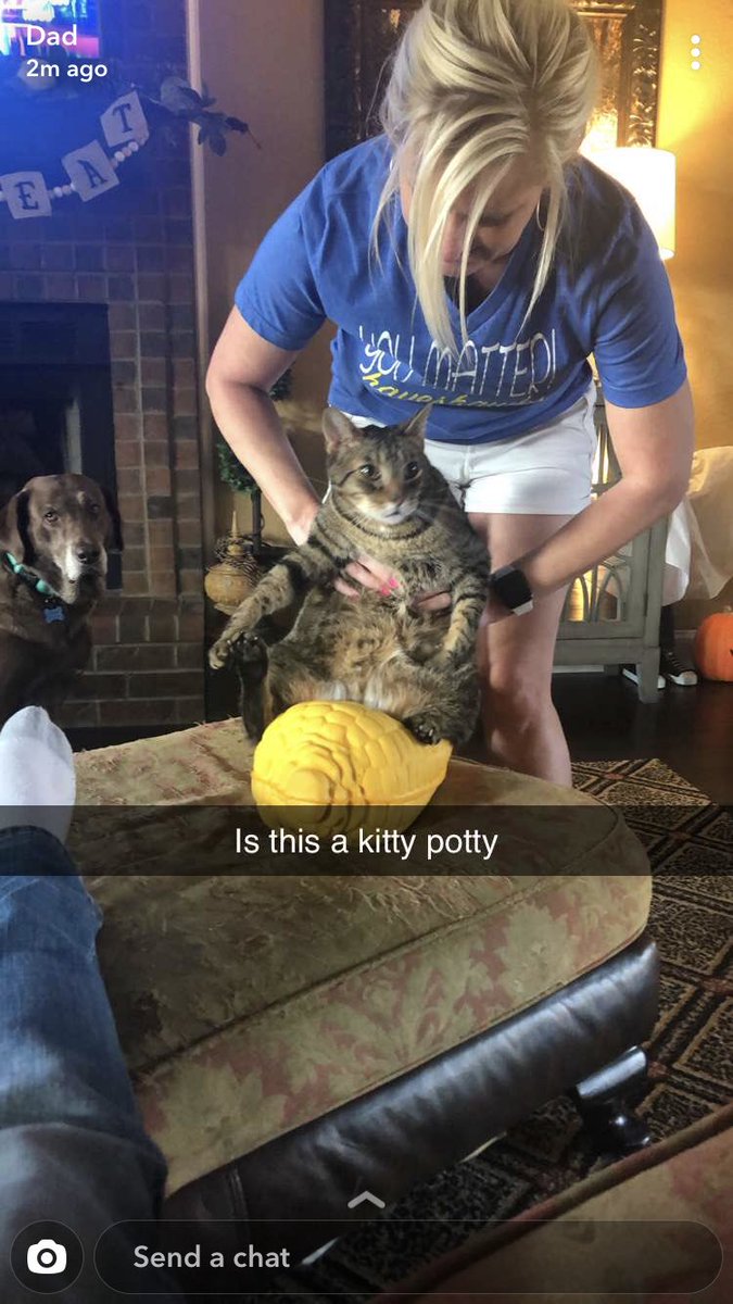 aspen_k's tweet photo. You really just never know what’s going to be sent into the Brinley family snapchat https://t.co/qWE5yal6Oy