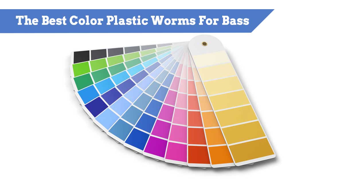 Plastic Worm Colors Chart