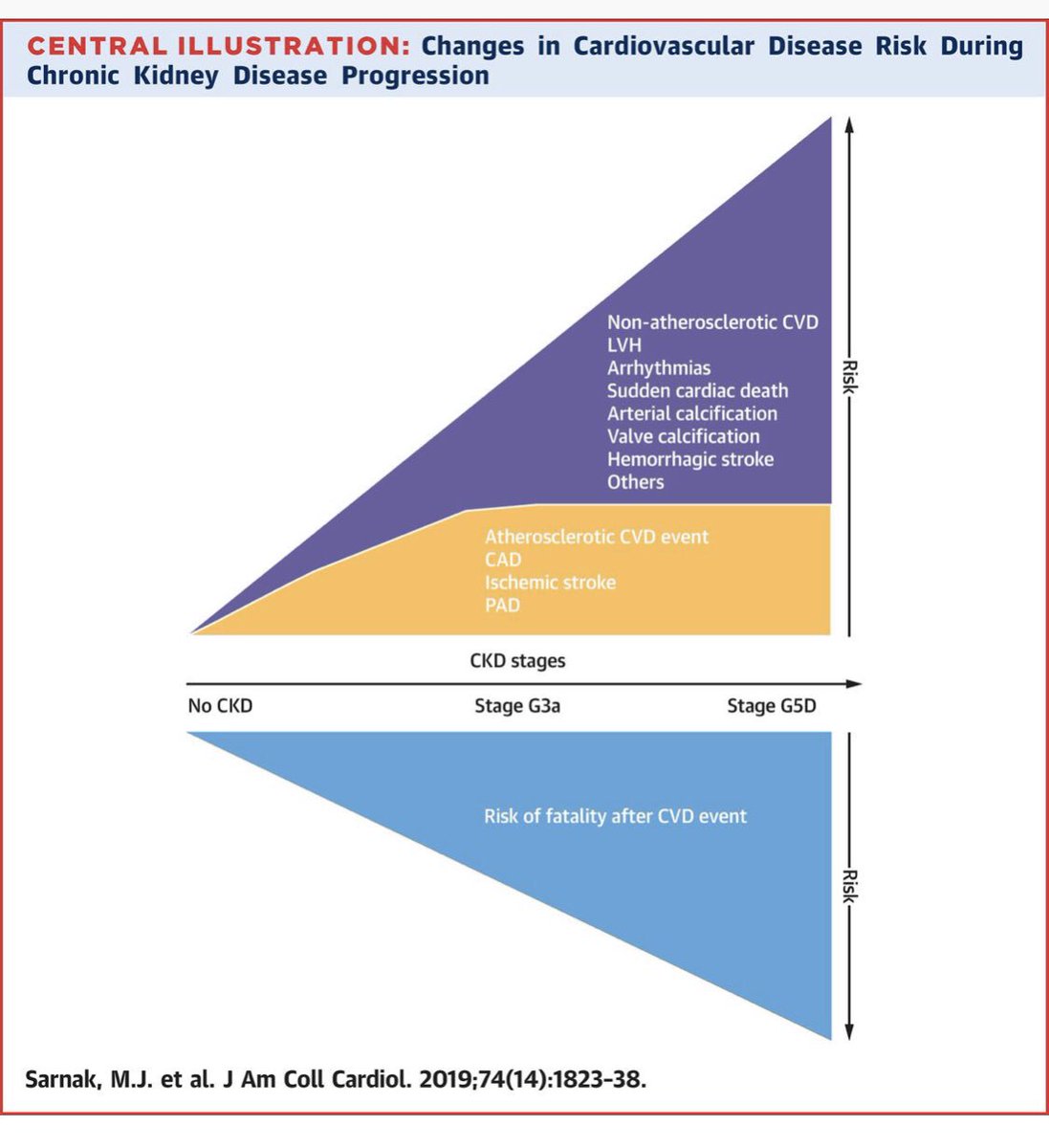 ValleAlfonso's tweet photo. 📋Chronic Kidney Disease and Coronary Artery Disease➡️
CKD is associated with very high risk of CAD. CAD management is complicated in CKD patients, due to comorbid conditions and potential side effects during interventions
📎 https://t.co/uAEhAXvyRn @secardiologia @SENefrologia https://t.co/OVYoVwYLxe