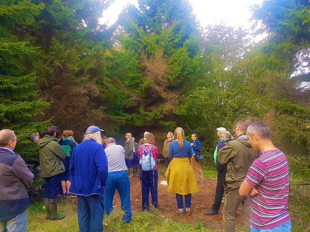 hewetsonjohnson's tweet image. Great @royal_forestry event last week with scientific updates from @FeraScience talking #treepests and #treediseases at the beautiful @YorksArboretum. Thanks to all those that attended and all the fantastic speakers.  @SquirrelAccord @WoodlandTrust @APHAgovuk
#yorkshire #FERA