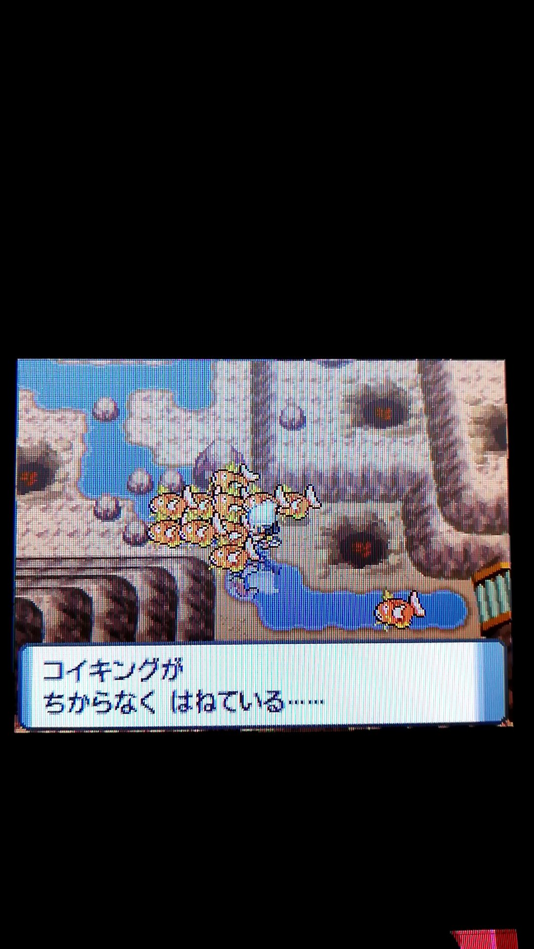いすゞ三歳 ジャミラ そして勝利と共にモウカザルのゾフィーがゴウカザルに進化したどー ポケモンダイヤモンド パール T Co Lefh5qf6h8 Twitter