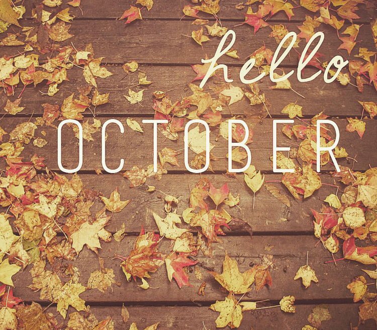 October is special for us. Did you know we are celebrating 30 years in business this month? We will be taking a trip down memory lane &amp; looking back over the past 30 years #weare30