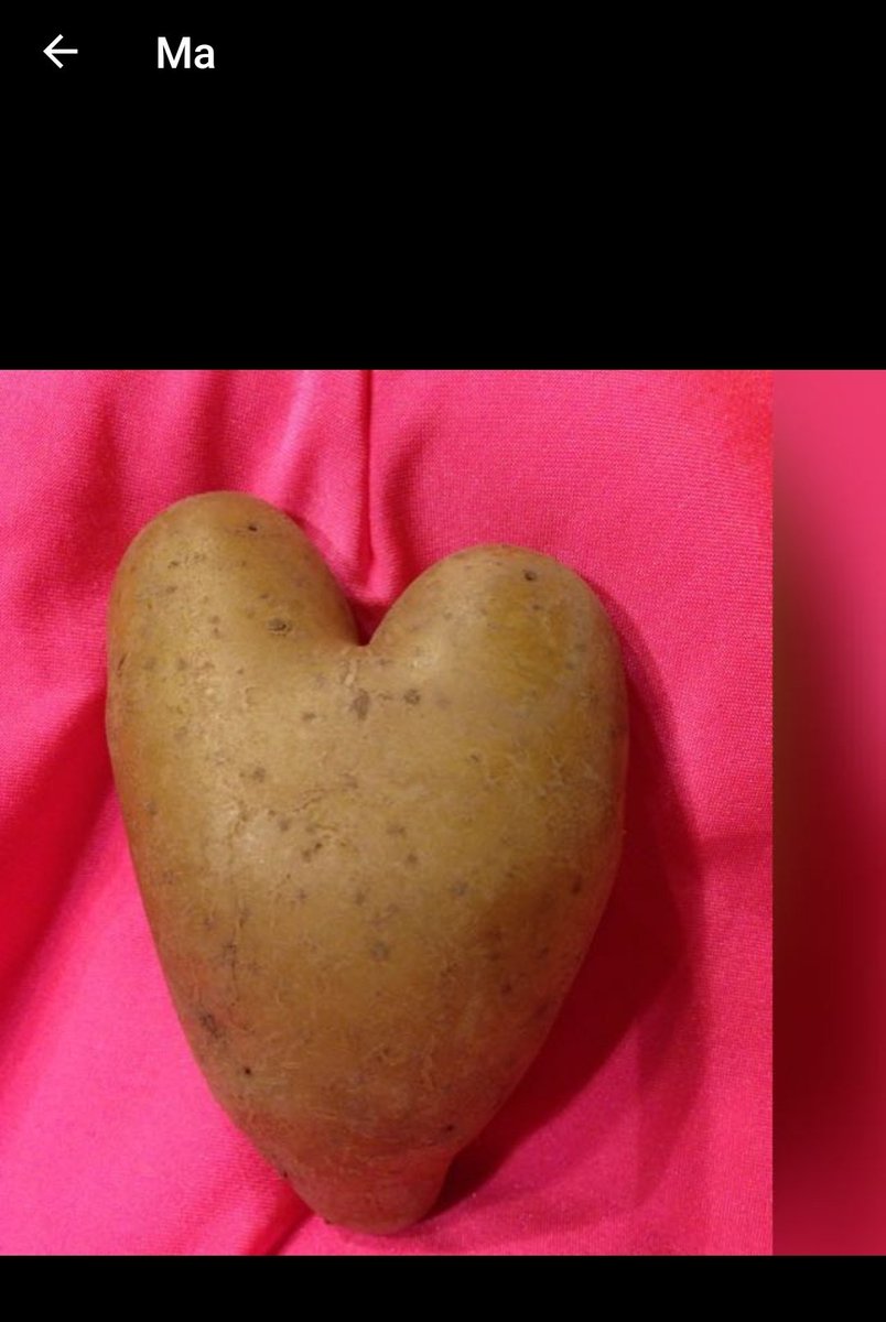 Alicia On Twitter Das Profilbild Meiner Mom Auf Whatsapp Ist Einfach Ne Herzformige Kartoffel Deutscher Geht S Nicht But Also I Relate Https T Co Fbhkoahsme