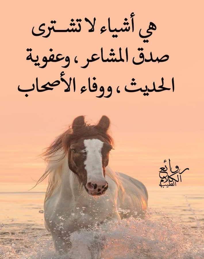 mohammed (@cmb59996) on Twitter photo 