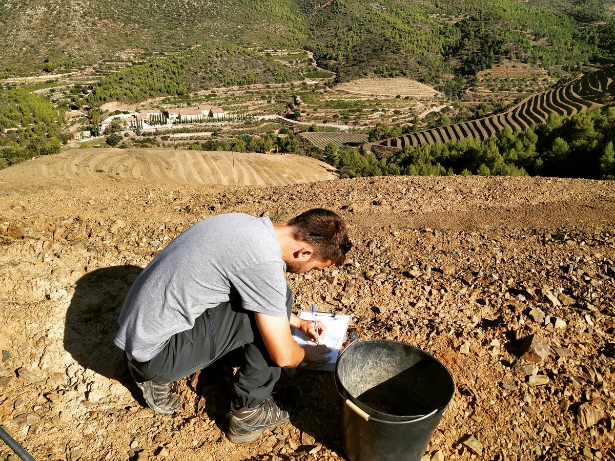 PRIORATMONTSANT's tweet photo. Ens preocupem per l'estat nutricional dels sòls de les vinyes de la comarca del Priorat.

Nos preocupamos por el estado nutricional del suelo de los viñedos de la comarca del Priorat.

We are concerned about the nutritional state of the vineyards' soil in the Priorat region. https://t.co/yEY84YIKut