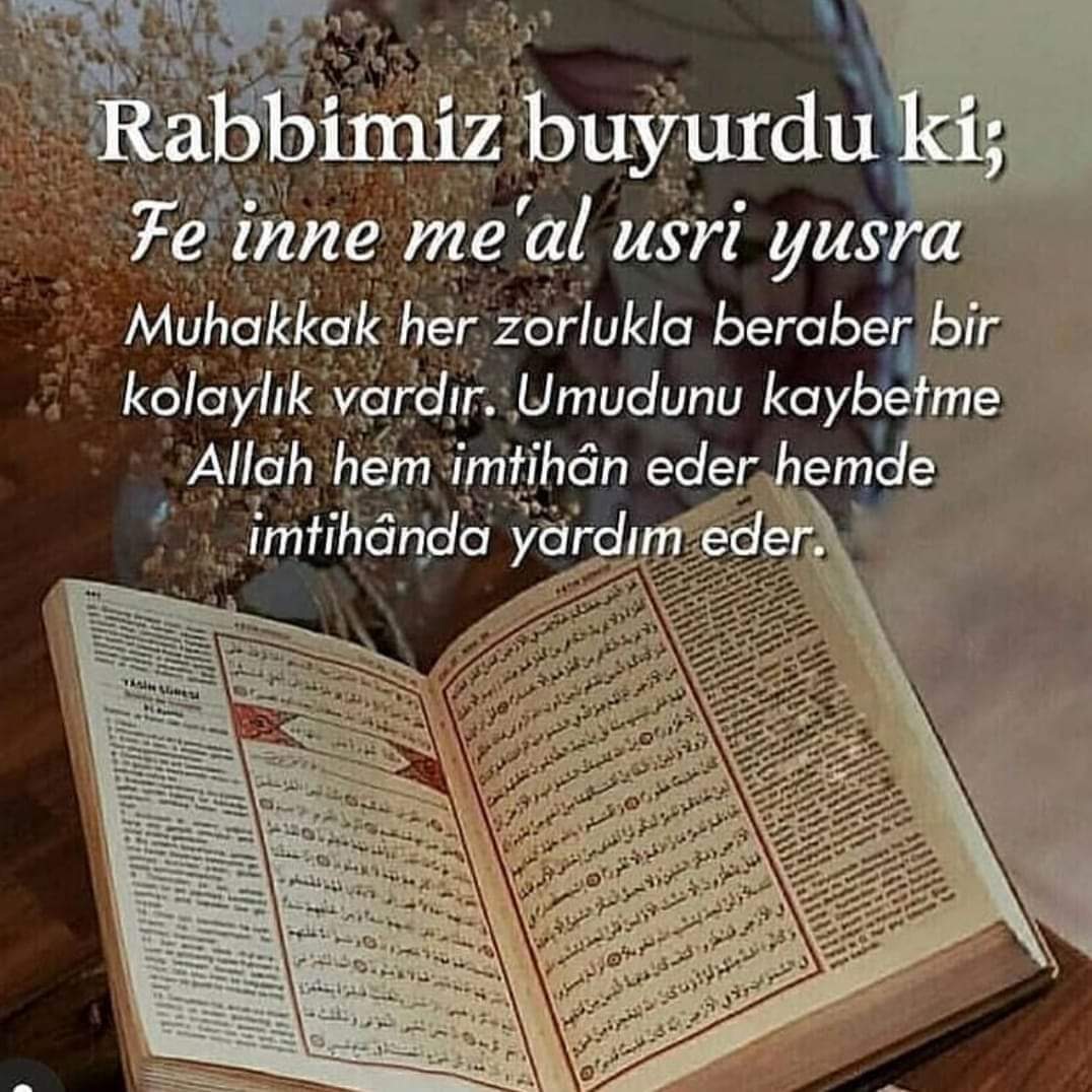 @B_ek_o @mmetten3 @Ayse3245 @Beyaz_Zakkum @nlnrudra1 @Amberdiyin @istisna38 @Zehra_Altunel1 @esra_0732 @Leylim_Mihrimah @HuriyeK14405717 @islim_gul63 @KalbiAhsennn @senkimsinya_RTE @nihatcad @reisciiiii @generationnextf @Basermehmet @meb6307 @ZhreYld50258229 @mevliyaogluu @CigercMumin @Ali_Sezai_46 @OzCaN_YuNaR @yorgunozer @turkuaz_58 @efuulimm34 @AylinUslu20 Hayırlı sabahlar