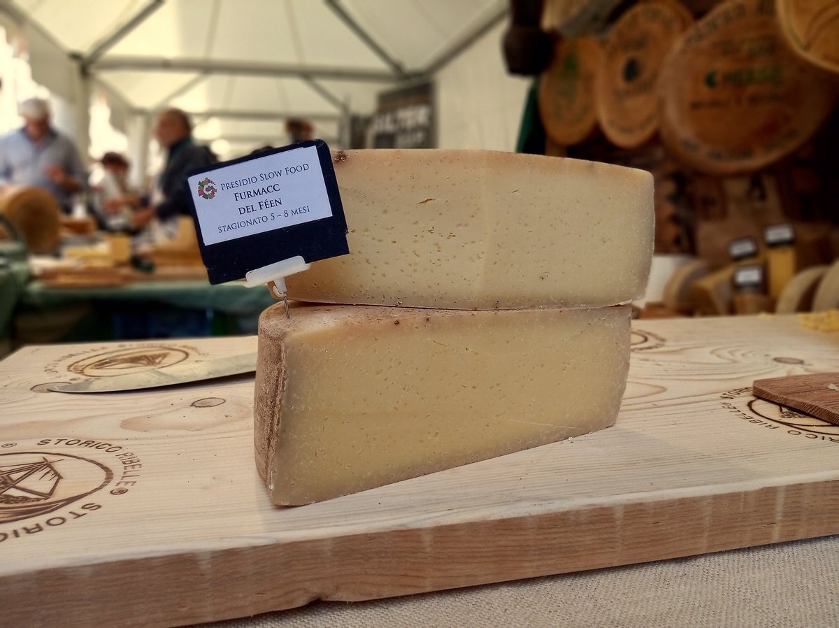 fimianif's tweet photo. Un modo per valorizzare il #formaggio di latteria in #valtellina e #valchiavenna https://t.co/KT3agFGNnI #agricoltura #sostenibilità https://t.co/NAwYffA2CZ