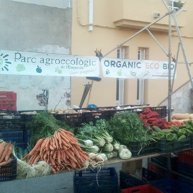 agroecologic's tweet photo. Salut, Llibertat i República!!! #1oct #1octubre https://t.co/xsUYG8fwDf https://t.co/lXLGKUWlcD
