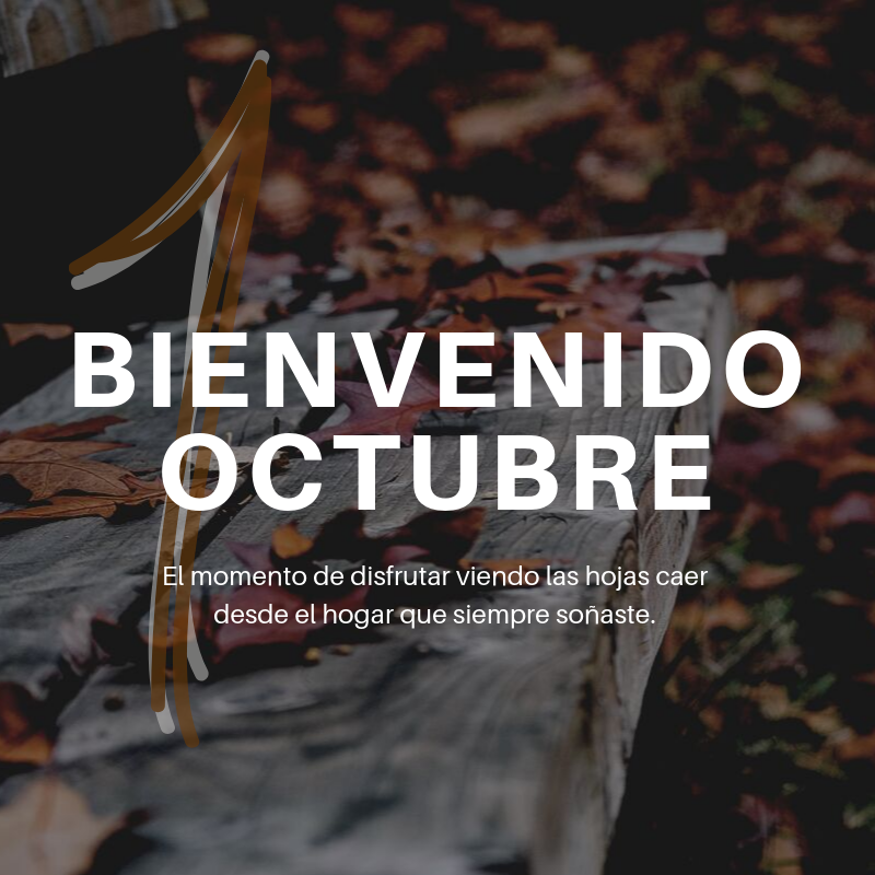 H15House's tweet photo. ¡¡BIENVENIDO OCTUBRE!! Hoy día 1 de octubre os deseamos que empecéis el mes con muchas ganas, metas e ilusiones. Siempre aprovechando este tiempo más frío que se avecina, perfecto para disfrutar en familia viendo las hojas caer desde el hogar que siempre soñaste... 🏠🍂 https://t.co/12GmgfORwT