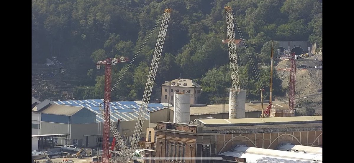luponzi's tweet photo. #FuoriStudioLive Alle 14 @TgrLiguria interamente in diretta dal cantiere del nuovo ponte. Oggi #Genova si rialza Con @oscarpuntel, Cristina Carbotti e Ilaria Linetti https://t.co/4ew1F1E0Bu