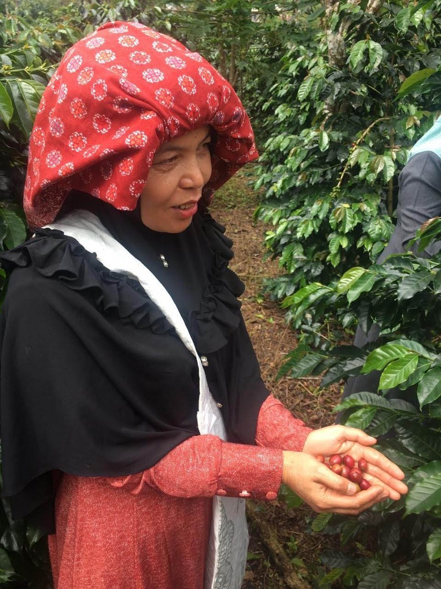 Today is #InternationalCoffeeDay - read why we're supporting the <a href="/ICOCoffeeOrg/">International Coffee Organization (ICO)</a>'s campaign, #coffeepledge, in support of coffee farmers earning a #LivingIncome: bit.ly/coffeepledge.