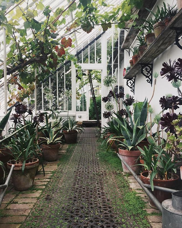 lewesmap's tweet image. One of the enchanting glasshouses at @heligangardens and hello October 🌿🍂 .

Next week I’m going to be in Bristol. I’ve never been, so very excited! I’m going to be at @theforgebristol for a Pinterest for business &amp;amp; Photography workshop together with… ift.tt/2mAl0mo