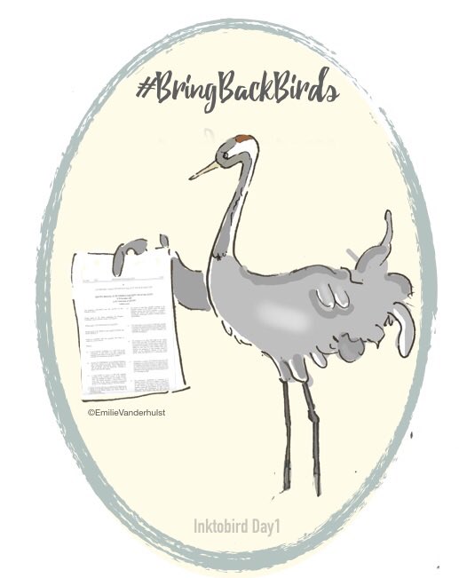 BirdingBrussels's tweet photo. I’m in for #Inktobird 🎨, aren’t you?
Day one : a Common Crane reading carefully the #BirdDirective 😊😁🇪🇺 #BringBackBirds #Inktober https://t.co/4PFeZsjogy