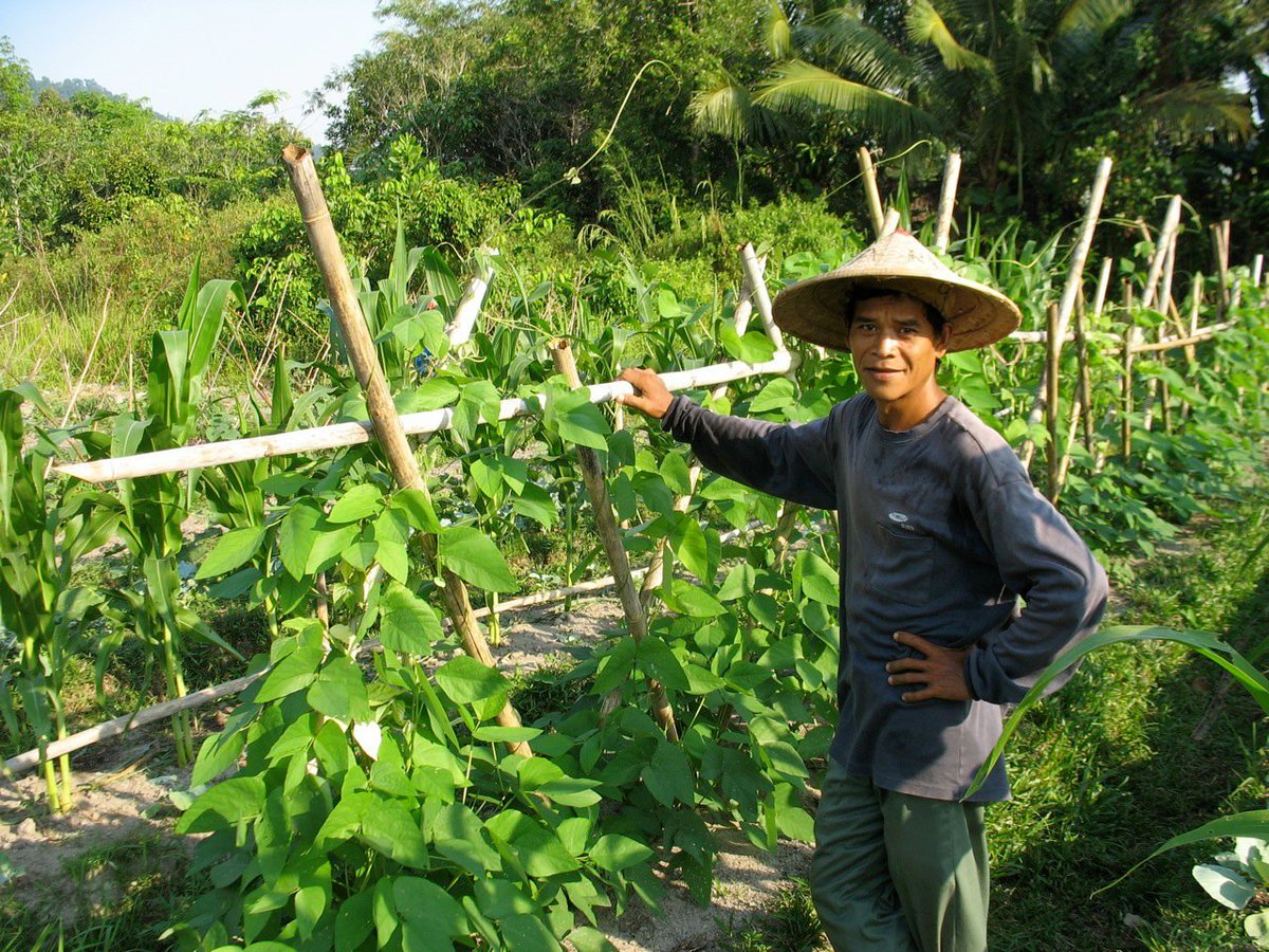 Another recommendation, thank you! We've donated to train a farmer in sustainable farming in Indonesia with <a href="/B1G1/">B1G1</a>. #b1g1 #businessforgood #businessgiving #buy1give1 #impact #joyofgiving