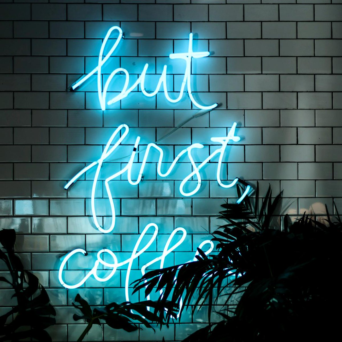 😀Aujourd'hui c'est la journée internationale du café. Chez @soie_dentiste on pense qu'elle devrait être suivie par la soirée internationale du brossage de dents !!! 🚿
⠀⁠⠀⠀⁠
#InternationalCoffeeDay⠀⁠
#dentiste #montreal #griffintown⁠