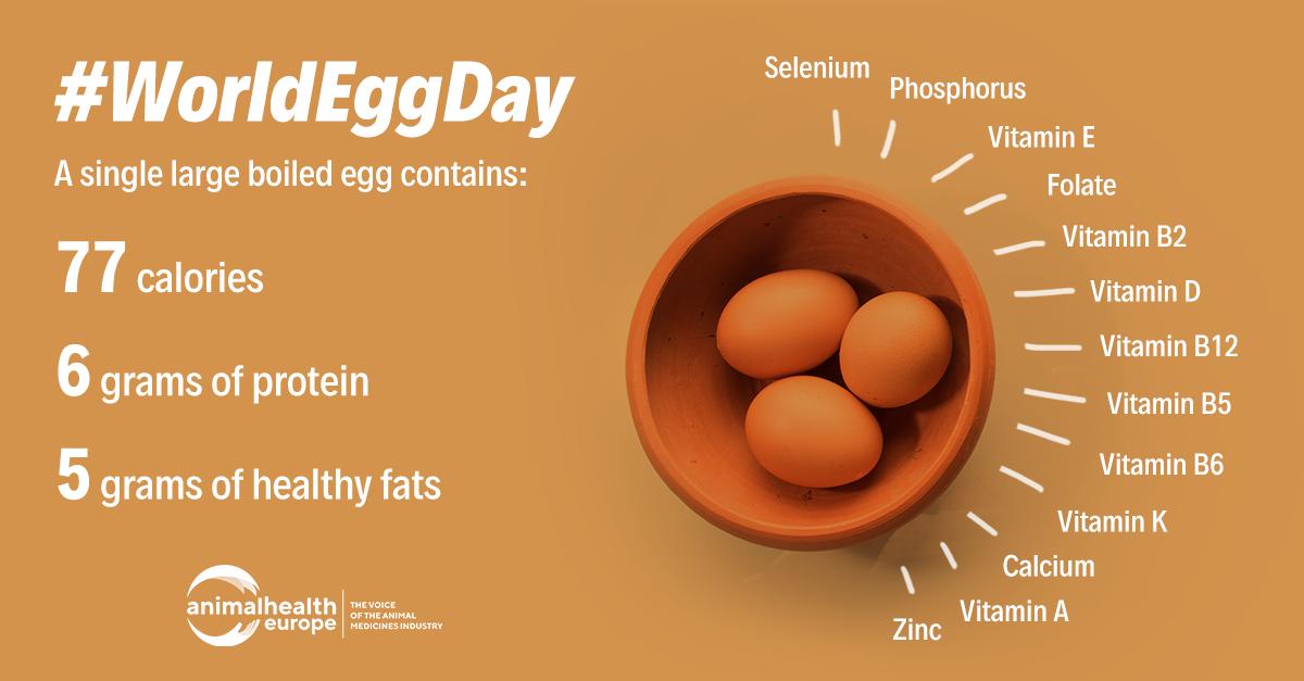 Let's celebrate #WorldEggDay by preparing our favourite egg dish today! 🍳🥚

➡️ Eggs are nutrient-rich and just one egg contains good amounts of vitamins and proteins for a healthy start to the day.