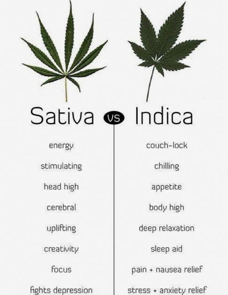 In case you don't know