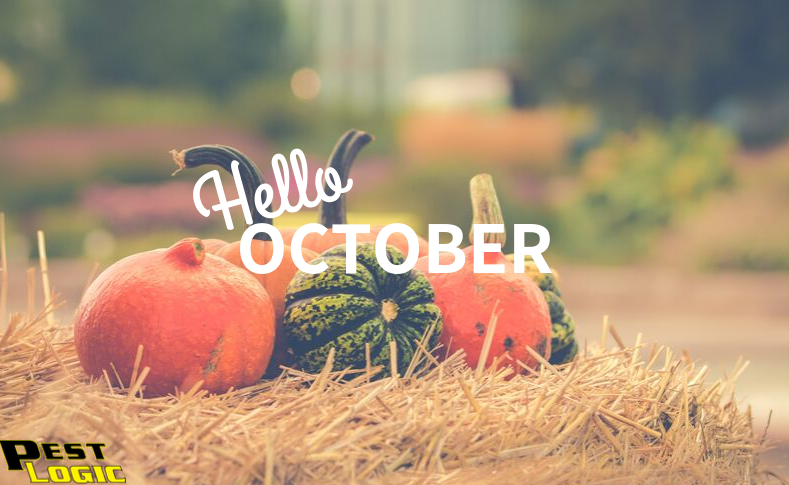 Pest_Logic's tweet image. 