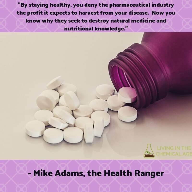 ProjectLeech's tweet image. 