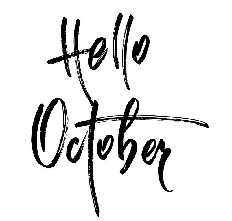 GatesGdr's tweet photo. We have a limited amount of service and survey spots available for October so please drop us a DM or email info@gdrgatesanddoors.co.uk to secure yours. #gdrgatesanddoors #gateautomation #electricgates #bespokegates #gatemaintenance #gateservicing #goodbyeseptember #HelloOctober https://t.co/EhpqD31q34
