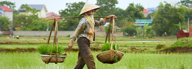 foodplatform's tweet photo. Five researchers employed by NL organizations @WUR @Tropenbos @100KIT &amp; involved in @CGIAR research/management, are awarded in Senior Expert Programme to enhance NL-CGIAR collaboration. Focus on #seedsystems, #healthydiets, innovative #finance, #gender | 
https://t.co/OFLr0opeRw https://t.co/NnEnH30Rgo