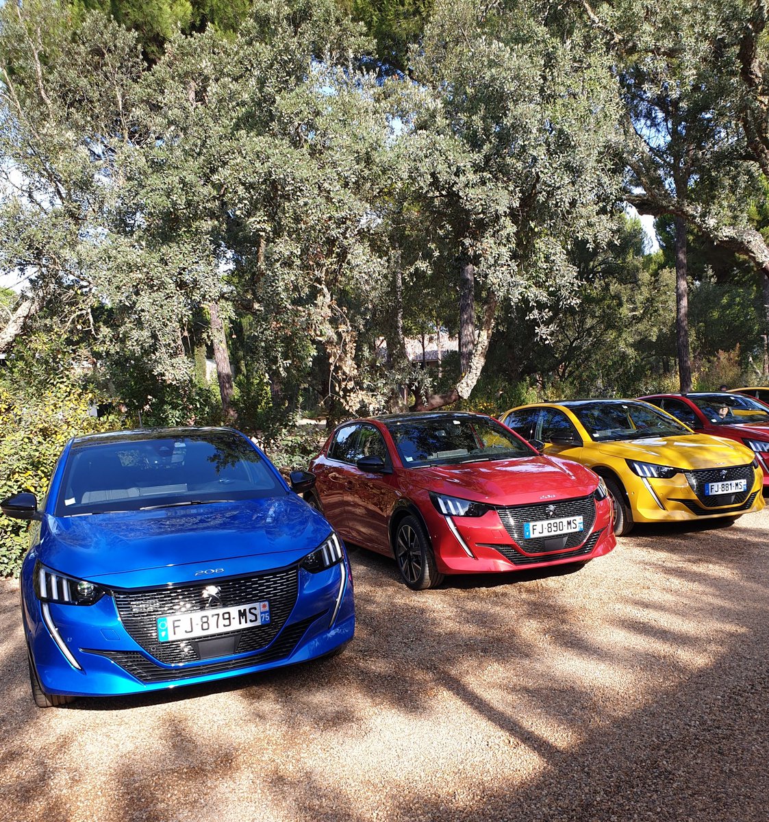 eufranzetti's tweet image. Colors.... always summer with the @Peugeot  #new208 #208FirstDrive