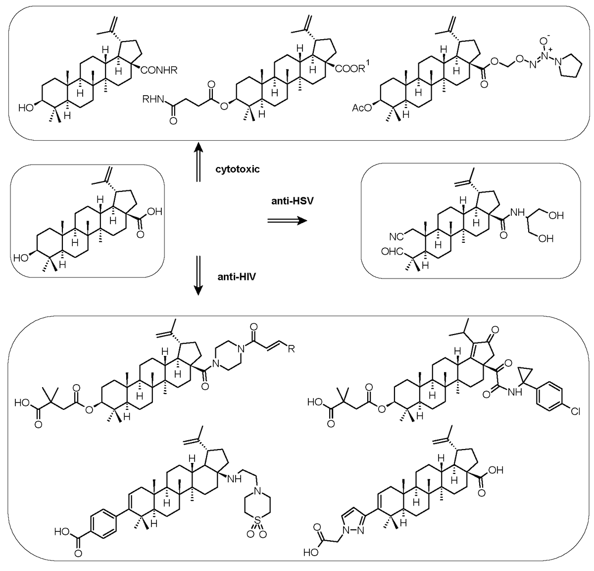 Molecules_MDPI's tweet photo. #mdpimolecules Recent Achievements in Medicinal and Supramolecular Chemistry of Betulinic Acid and Its Derivatives ‡ https://t.co/L37Rb81Dh6 #structuralmodification #supramolecularselfassembly #cytotoxicity #antitumoractivity #antiviralactivity #physicochemicalparameters https://t.co/v6hjIz8C0L