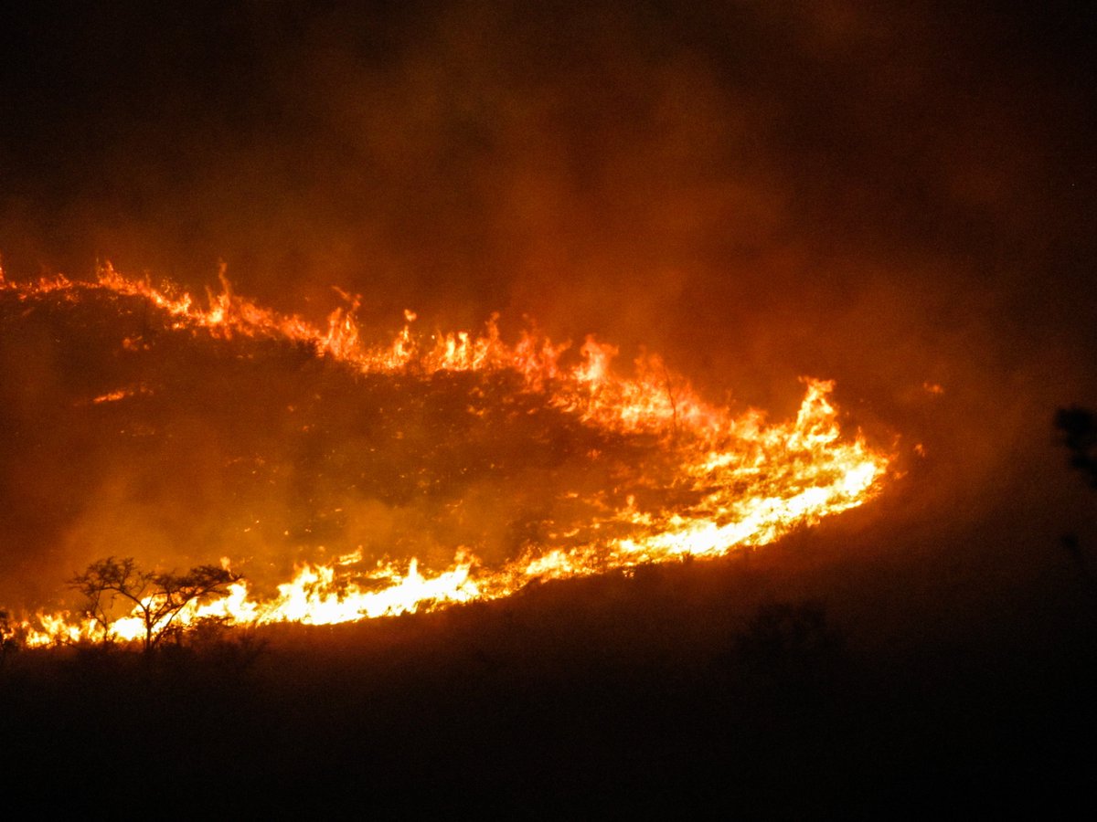 HeathBeckett's tweet photo. First paper from my PhD is online!!

Showing how fire refugia facilitate forest and savanna co‐existence as alternative stable states in Hluhluwe-iMfolozi Park, South Africa

https://t.co/P9iJjEGN8V

@JBiogeography @BioSciUCT @UCT_Research #phdchat https://t.co/WJ3z7kseIL