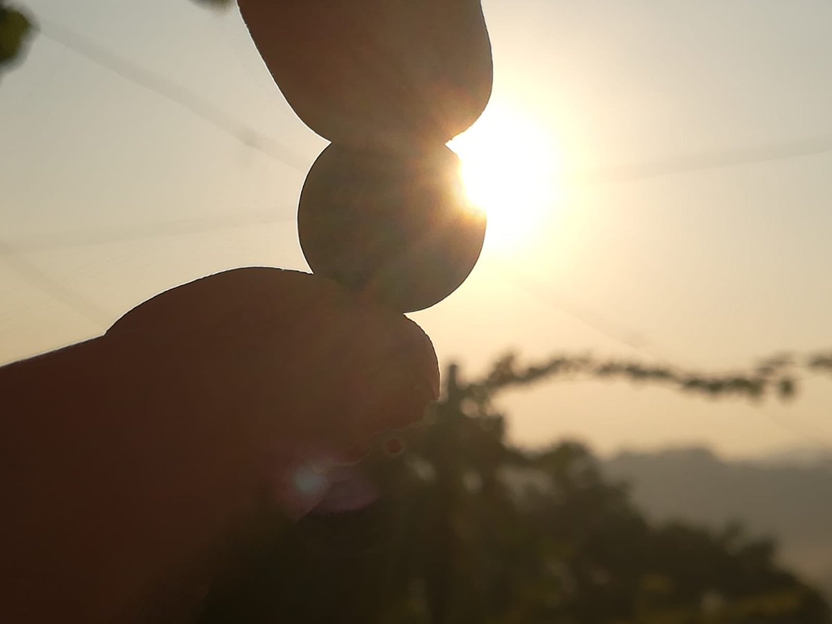 CrodiW's tweet photo. Il #futuro appartiene a coloro che credono nella #bellezza dei propri #sogni.
-Eleanor Roosevelt
#acino #sole #prospettiva #vita #future
@TwitItalianWine @HrmnnMchl @WineBlogRoll https://t.co/6nU1l3nwG4