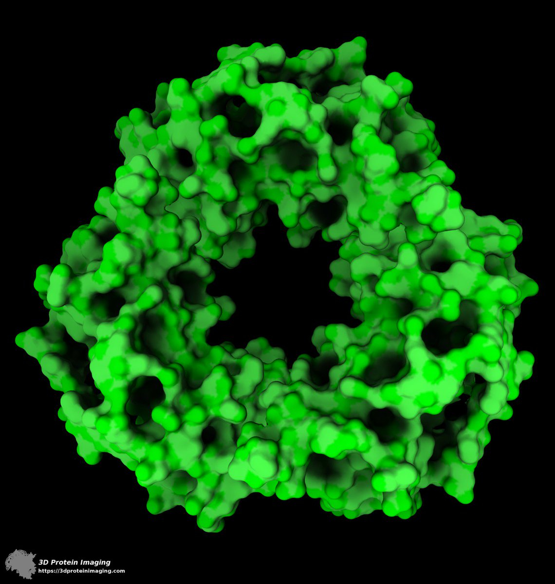 proteinimaging's tweet photo. Today we talk about #radioactivity #resistance!
Did you know that a #microbe called Thermococcus gammatolerans can resist to radioactivity levels up to 5000 times greater than #humans?
#PDBid 6pxv
Try yourself our easy-to-use online molecular viewer at https://t.co/fA8dSaXLQx https://t.co/DhCvO0n5k1