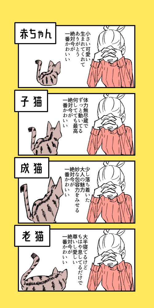 猫さんは常に世界一かわいいという話とうちの子の可愛い記録更新のろけ 生まれてきてからずっとどの瞬間も可愛い Togetter