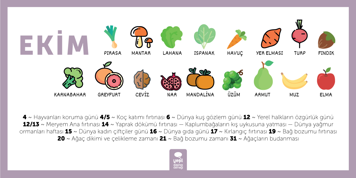 Mevsimsel beslen! Sağlıklı beslen!
İşte Ekim ayı meyve ve sebzeleri 🌻 
#mevsimselbeslen #yesildusun