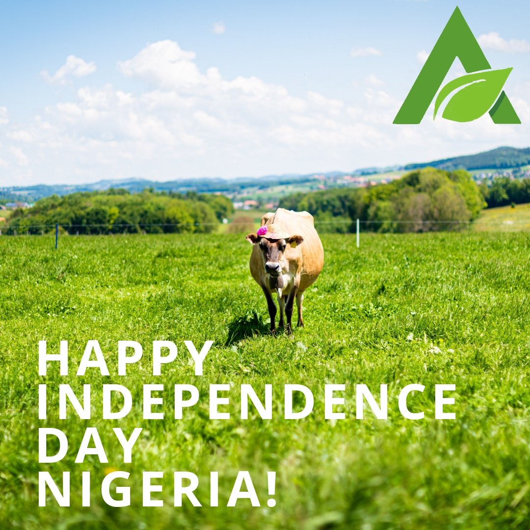 agxfel's tweet photo. Happy Independence Day Nigeria! To all Nigerians at home, happy holiday. Enjoy the cool weather. Start your own ginger farm today. #agric #farm2export #farming #farmestates https://t.co/R2o7NoLfbr