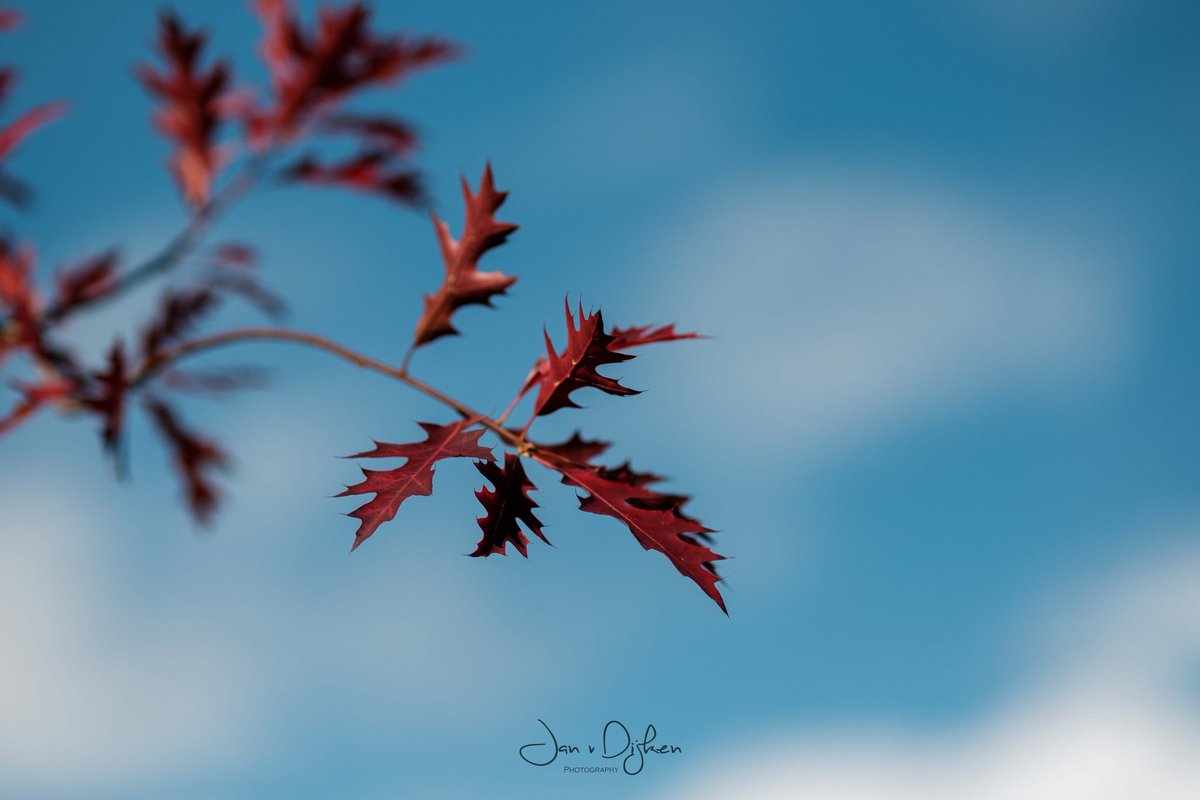weerphotography's tweet photo. Herfst 1 Oktober Drenthe. https://t.co/IX5b41fhXv