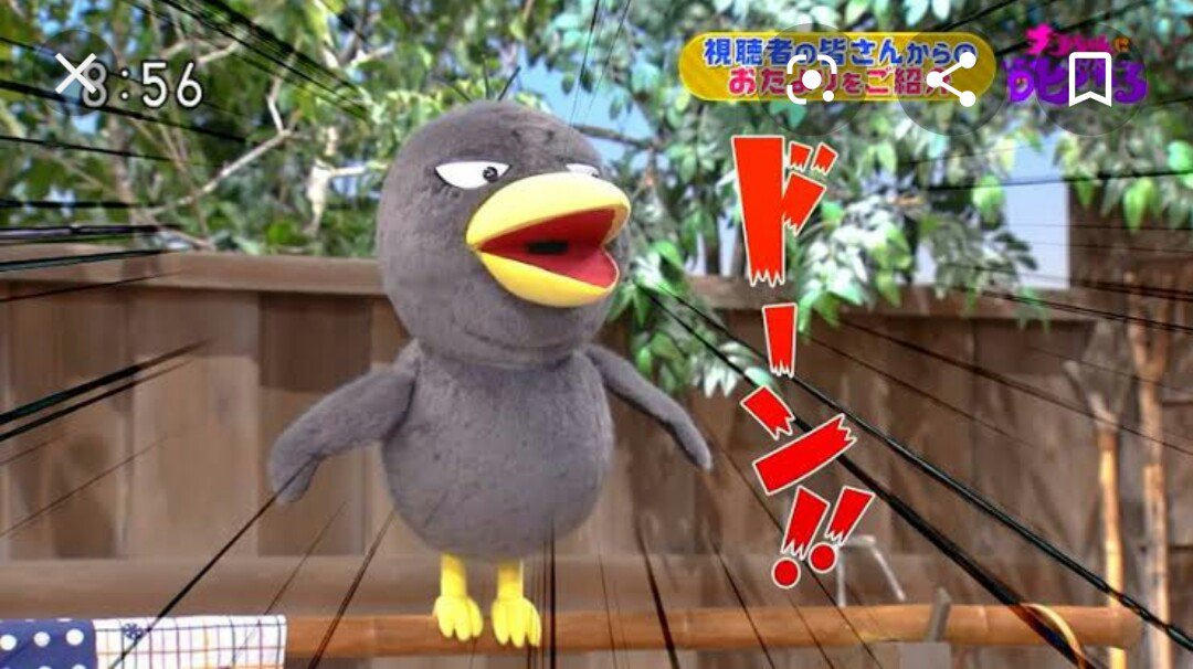 なおなり Na Twitteru チコちゃんに叱られる の チコちゃんの声は キム兄 がやってるのは有名だけど キョエちゃん の声は いきものがかり の 吉岡聖恵 がやってるんだよね 吉岡聖恵 きよえちゃん で キョエちゃん って訳だね なおなり Na Twitteru チコちゃんに叱られる の チコちゃんの声は キム兄 がやってるのは有名だけど キョエちゃん の声は いきものがかり の 吉岡聖恵 がやってるんだよね 吉岡聖恵 きよえちゃん で キョエちゃん って訳だね