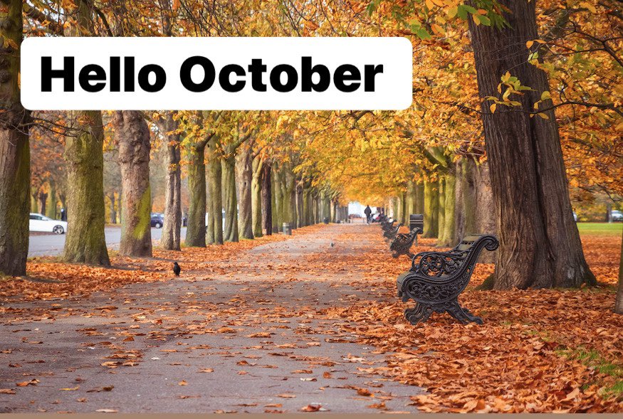 StarMediaOne tweet media