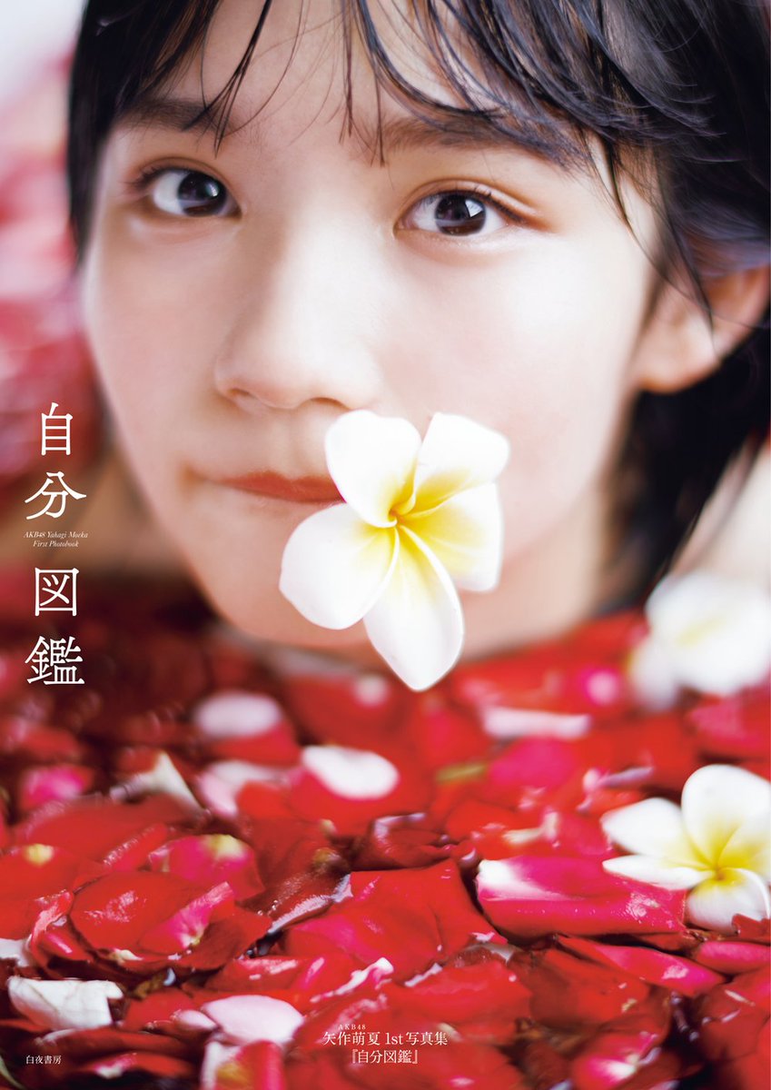 moeka_1st's tweet photo. まだまだ暑いので実感が湧きませんが、今日から10月がスタート❗ 心機一転、好評発売中『#自分図鑑』表紙の花風呂萌ちゃん別カットオフショットです🌺
#AKB48 #矢作萌夏 #サステナブル
https://t.co/vgVX0wdWjh https://t.co/gcySqWTh1N