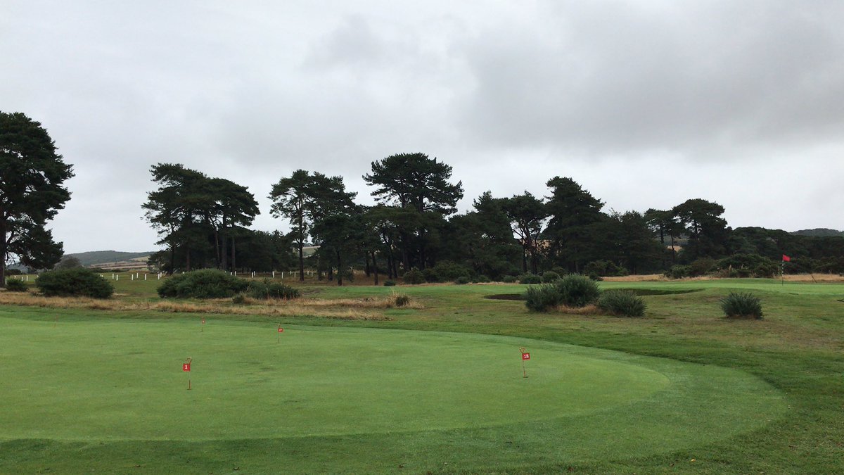 GantonGC's tweet photo. No standing water in spite of over 60mm of rain over the past couple of days! #drycourse #golf @GantonGC https://t.co/1CdtYTco5L