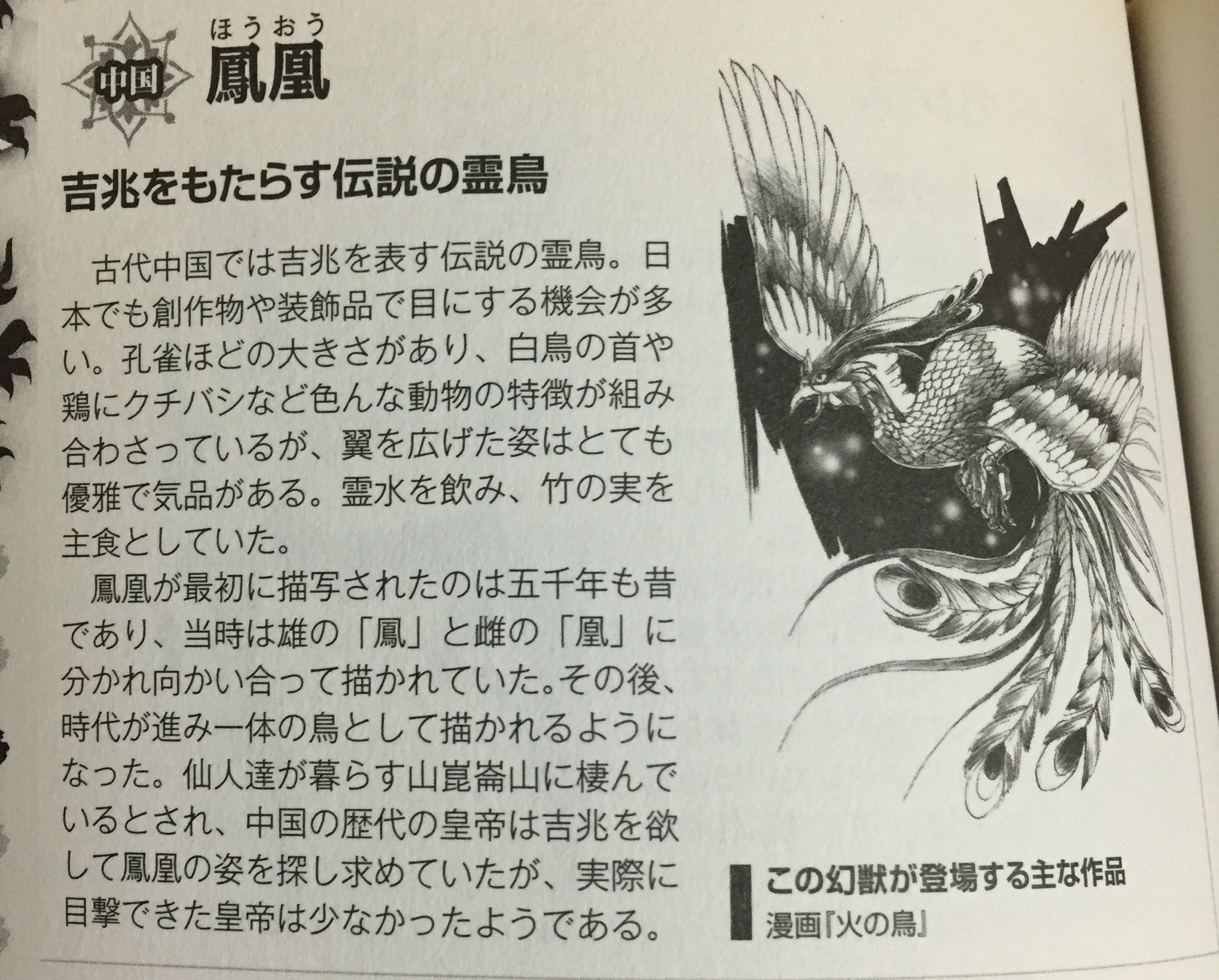 皮井早アンケート狂 on X: 皮井早アンケート狂 on X: