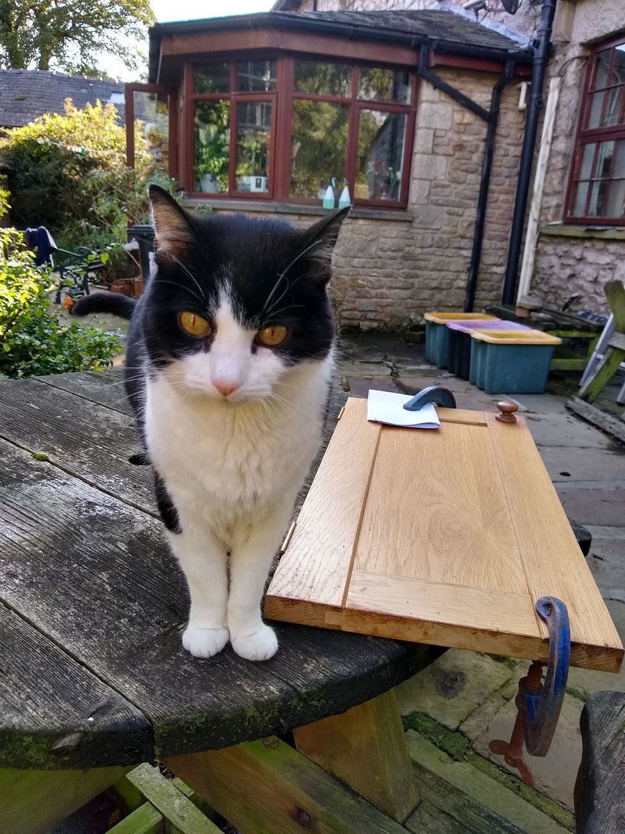 wolfhousecotts's tweet photo. William insisted on helping sand down a Coach House #holidaycottagesnorthwest #holidaycottagesnearLancaster #holidaycottagesmorecambebay cupboard door. Such a professional team! https://t.co/DeFqs5DN9I