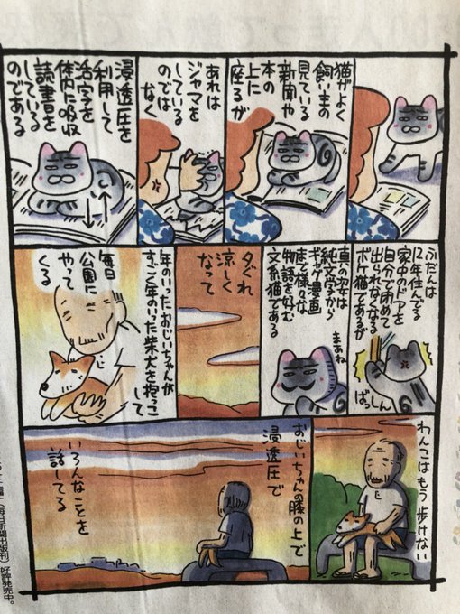 西原理恵子さん の 19年10月 のツイート一覧 1 Whotwi グラフィカルtwitter分析 西原理恵子さん の 19年10月 のツイート一覧 1 Whotwi グラフィカルtwitter分析