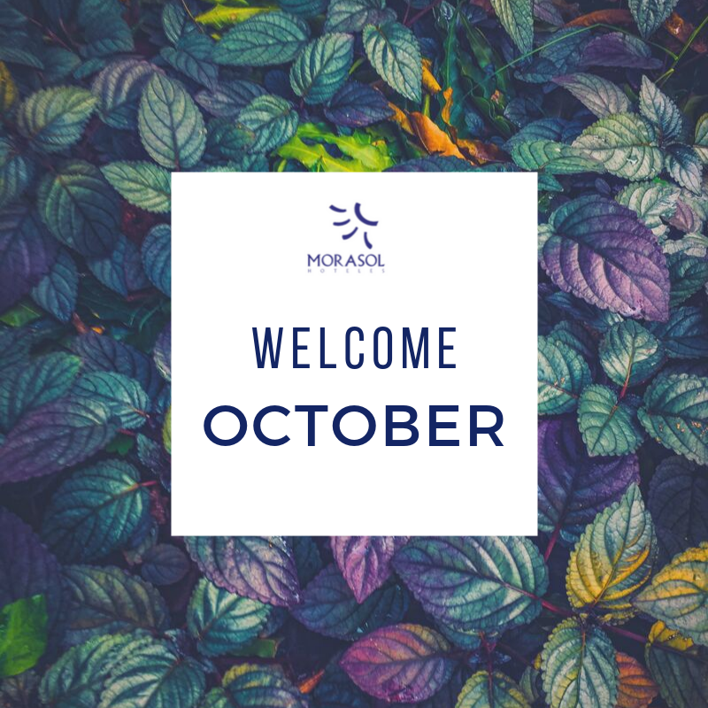 morasolsuites's tweet image. ¡Bienvenido Octubre! #octubrecálido en #morasolhoteles
Welcome October! #warmoctober in #morasolhotels