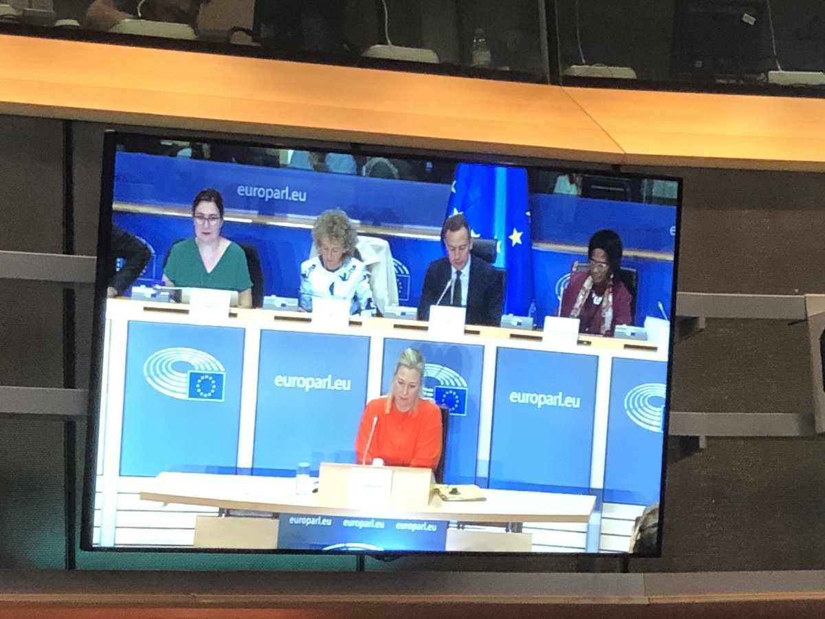 My hearing in the <a href="/Europarl_EN/">European Parliament</a> is now done! I must thank the whole committee lead by <a href="/tomastobe/">Tomas Tobé</a> for a very good debate on #development. Listening to, exchanging ideas and also learning is the right path forward. So feeling grateful and enthusiasted at the same time.