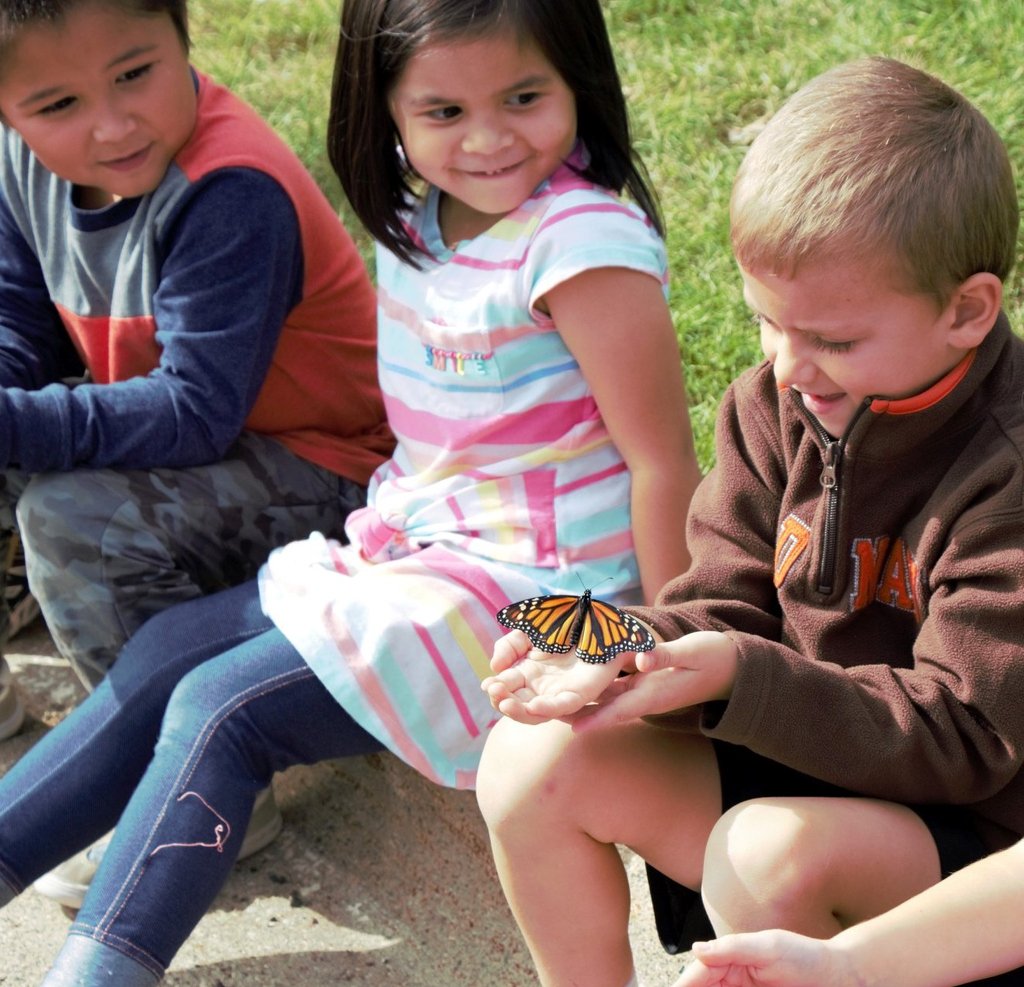 Our Kindergarteners' caterpillars are becoming beautiful butterflies! They are having fun releasing the butterflies outside. Mrs. Troost shows them how to gently hold them, so their wings aren't damaged.

#ucathunder #Kindergarten #LearningIsFun #MonarchButterfly