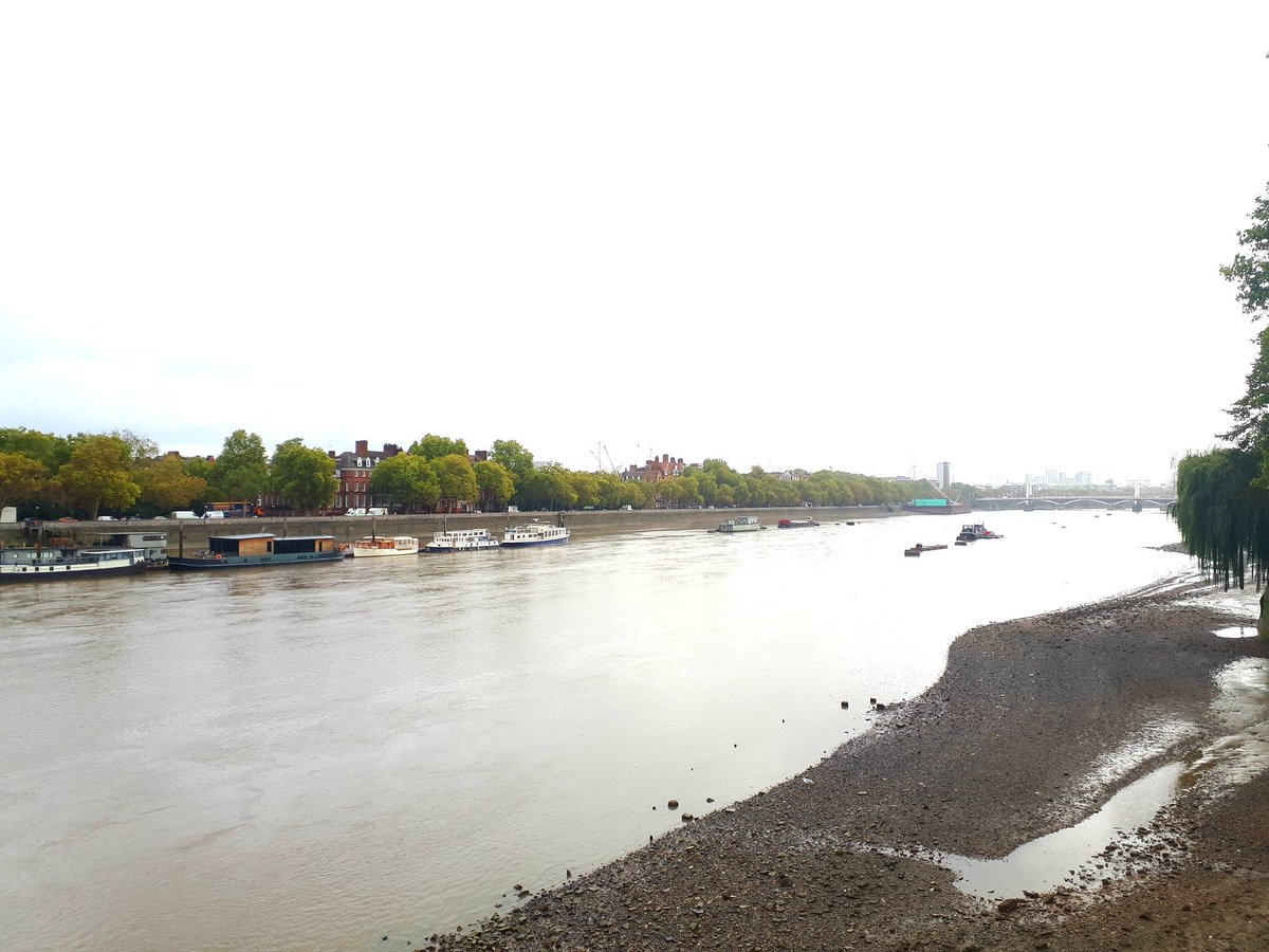 Dr Nichola Arthur tweet media