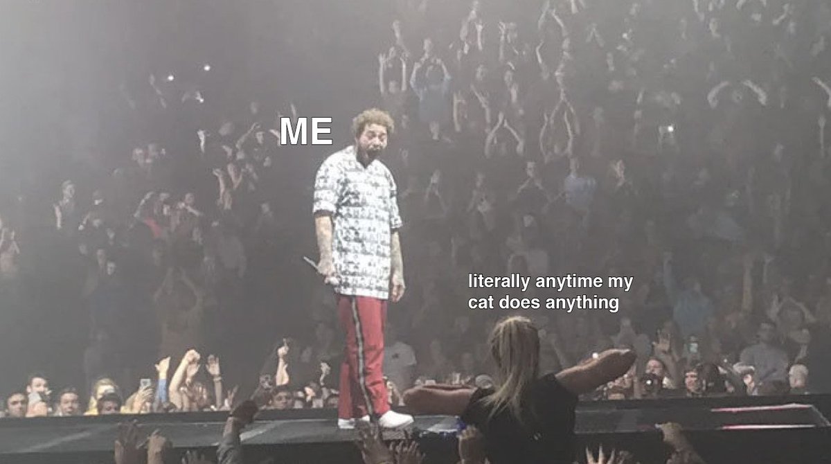 Lasagne_For_One's tweet photo. 100% can relate to Post Malone https://t.co/0sp2izAaiM